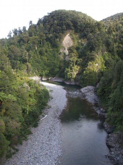 Waiohine Gorge