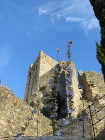 Little Fort in Omis